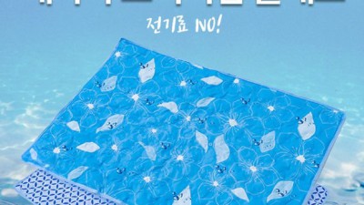 나만의 아늑한 공간? 득템찬스! 미니싱글패드 후기