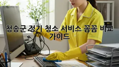 청송군 정기 청소 서비스: 꼼꼼 비교 가이드